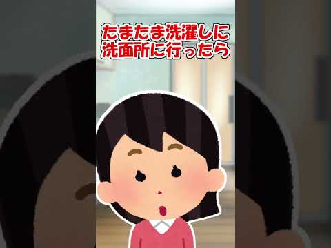 【2ch】風呂釜の上を寝床にしてる猫のあっくん！【アニマル】 #Shorts