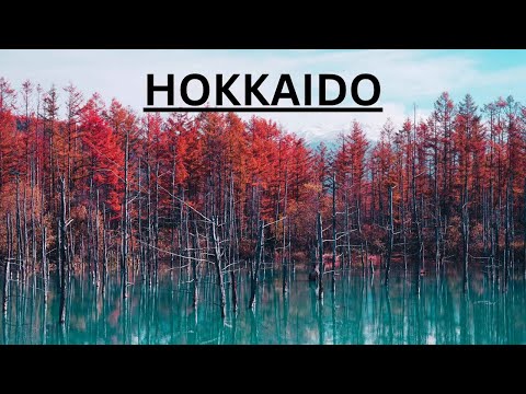 Video: Le 10 migliori escursioni a Hokkaido