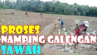 Ke Sawah Dulu: Proses Namping Galengan Atau Pematang Sawah, Persiapan Masa Tanam Padi