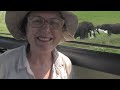 Nancy Pearlman Tours Tarangire  National Park, Tanzania, East Africa