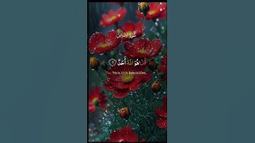 سورة الإخلاص 🌟 القارئ عبد الباسط عبد الصمد 🌙 #نور_القرآن #قرآن #اكسبلور