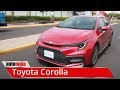 Toyota Corolla 2020 - Test Técnico - Completa renovación, mismo espíritu