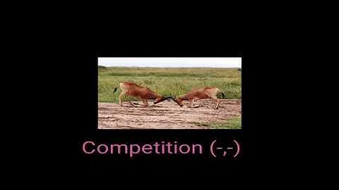 Competition Negative interaction between community