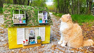 NEW Amazing Kitten Cat Pet House from Cardboard! The Smallest rescued KITTEN in the World