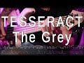TesseracT - The Grey // Bass Cover + TABS // Dingwall NG2 + Quad Cortex