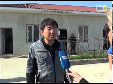 შრომითი ხელშეკრულება