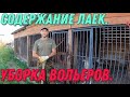 Содержание лаек. Уборка вольеров.