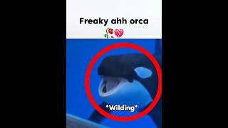 Bro be wilding ๐ญ๐ #memes #funny #shorts Bro be wilding ๐ญ๐ #memes #funny #shorts