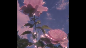 سورة القدر❤️اللهم بلغنا رمضان سالمين غانمين اميين يارب العالمين 🤲🤲