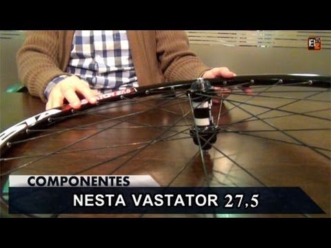 Nesta vastator c6 Clearance