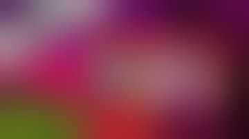 [FREE!] Proxo - Level 7, EXCLUSIVE Game Features, 40+ GAMES! .. etc