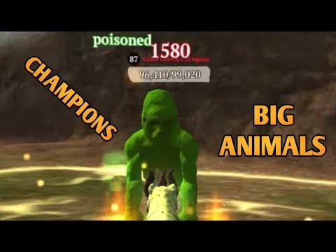 The Tiger Game - Champions & Big Animals Fight 💪