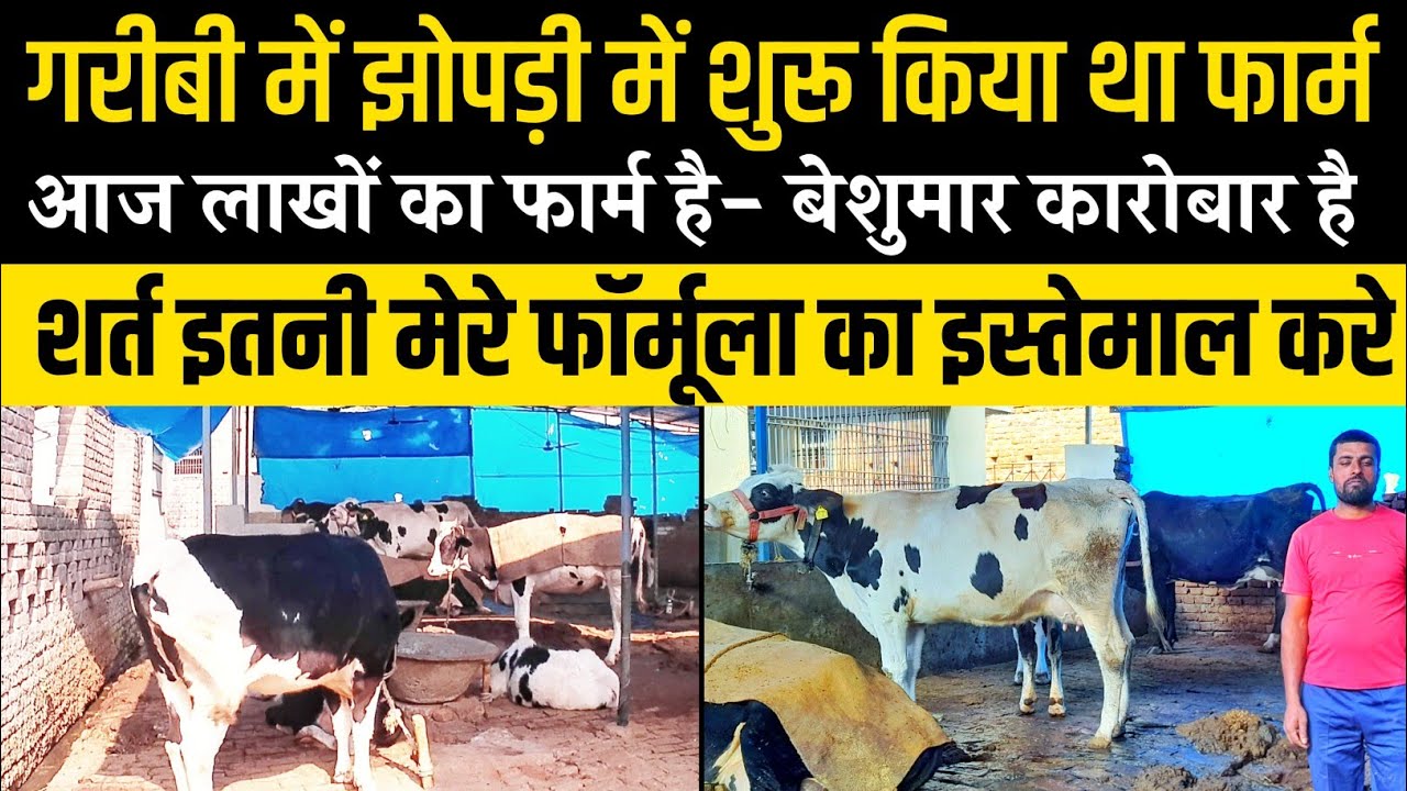 छोटे से बड़े फार्म बनाने का बेस्ट फॉर्मूला/dairy farm Bihar/small dairy