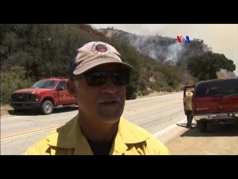 Video: Los Incendios Forestales Del Sur De California Y Su Impacto En Los Animales De La Región