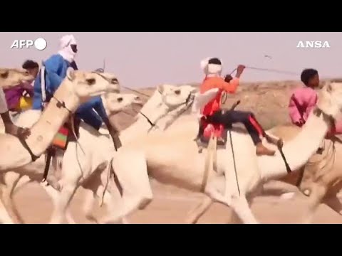 Video: 2021 Fiera dei cammelli di Pushkar: guida essenziale al festival