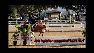 Time for Kisses LBVE