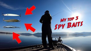 MY TOP 3 SPY BAITS FOR SMITH MOUNTAIN LAKE AND EVERYWHERE ELSE screenshot 2