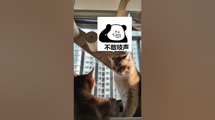 토리야 미안해 내가 너무 심했지...많이 아팠어?