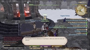Final Fantasy XIV A Realm Reborn - Alchemist Quick Leveling Guide to Level 50