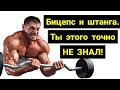 4 секрета сгибаний со штангой на бицепс!