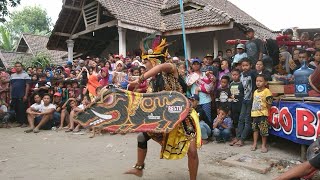 Solah Enerjik Erina Celeng Pesek|| Singo Barong original