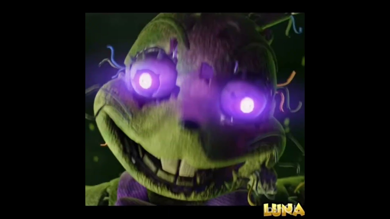 GLIICH TRAP VS SPRING TRAP