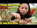 BURUNG GORENG SAMBAL IJO HASIL B3RBURU