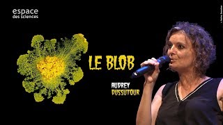 Audrey Dussutour Le Blob