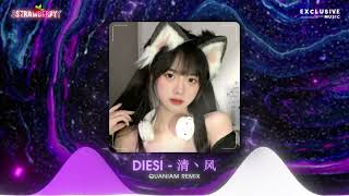 DiESi - 清丶风 - Quaniam Remix 2024 Version | Nhạc Hot Trend TikTok - Exclusive Music