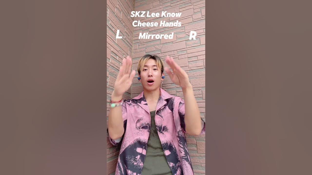Straykids Lee Know hand dance"Cheese"dance mirrored tutorial ダンス反転ミラー #shorts