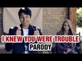 Taylor Swift - I Knew You Were Trouble Parody - I Knew I'm In Trouble