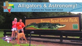RV Texas Adventure: Alligator Encounters & More at Brazos Bend State Park