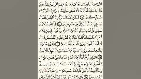 ماهر المعيقلي سورة القصص مكتوبة صفحة 388 مصحف المدينة المنورة جودة عالية