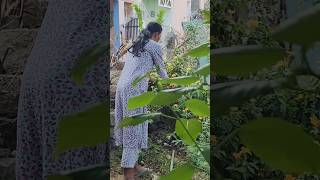 Mil Home Casual Day Routine