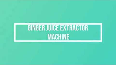 Ginger Juice Extractor Machine by Geeli Fabricators, Ahmedabad
