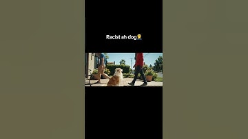 Thumbnail of Dog color blind how he know😭 #dog #ai #fyp #shorts #racist