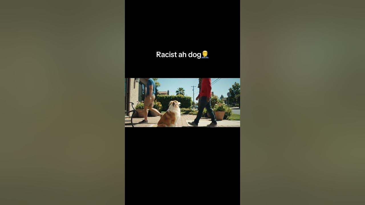 Dog color blind how he know😭 #dog #ai #fyp #shorts #racist