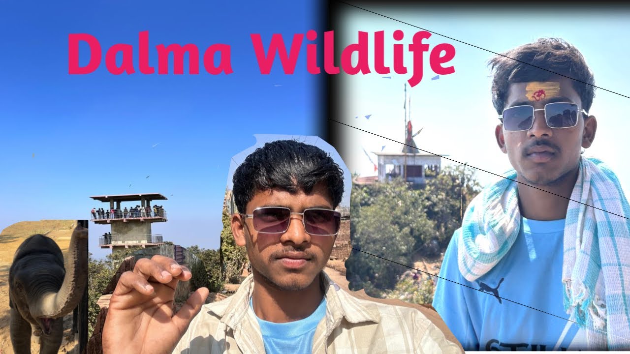 Dalma Wildlife #sarenvlog #Dalmapuja#Wildlife #naturelovers #naturesounds #naturelover #animallovers