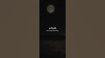 اكتب شيء تؤجر عليه 😴💚 قرآن كريم | ياسر الدوسري