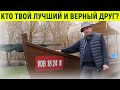 Связь сквозь поколения