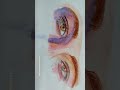 Transition #watercolor #eyes#explore#art#trending
