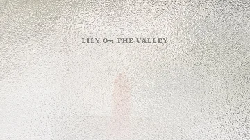 Lily of the Valley - Wild (Official Audio)