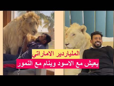 فيديو: من يملك مزرعة الآس؟