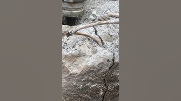 Concrete Block Splitting video d