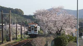 天竜浜名湖鉄道TH2100形(TH2104) 普通新所原行き　天浜線尾奈到着、発車