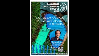 BDBC- The Physics of Beauty: Structural Coloration in Butterflies