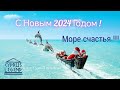 С Новым 2024 Годом !