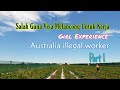 Salah Guna Visa Melancong Di Australia Untuk Kerja Part.1