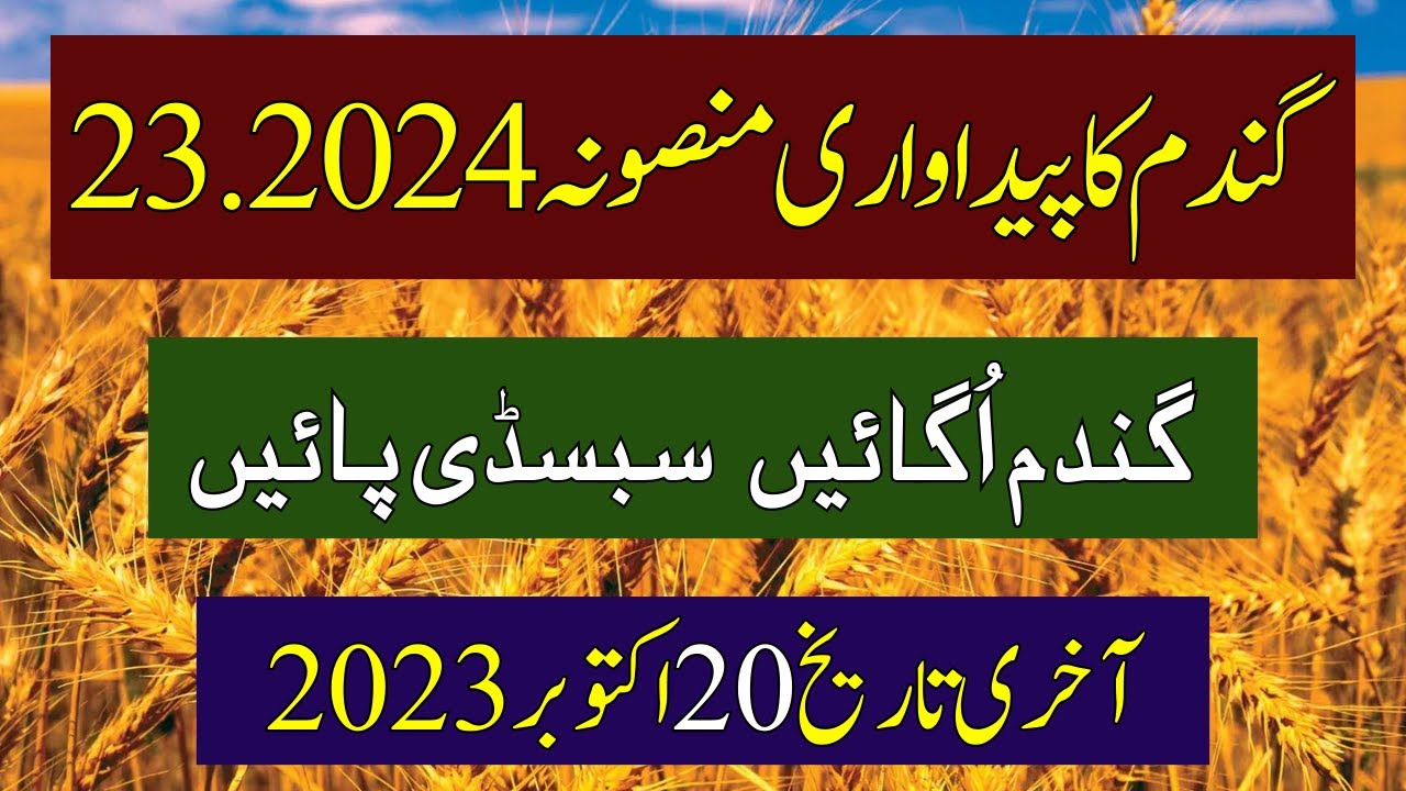 Subsidy on Wheat Seed How Much Subsidy on Wheat Wheat Farming In