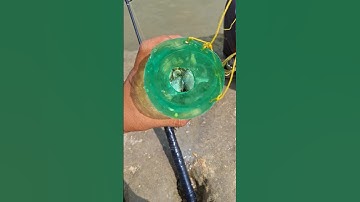 Cara mancing wader pakai botol bekas #mancing #petualangan #tutorial #fishing #shorts